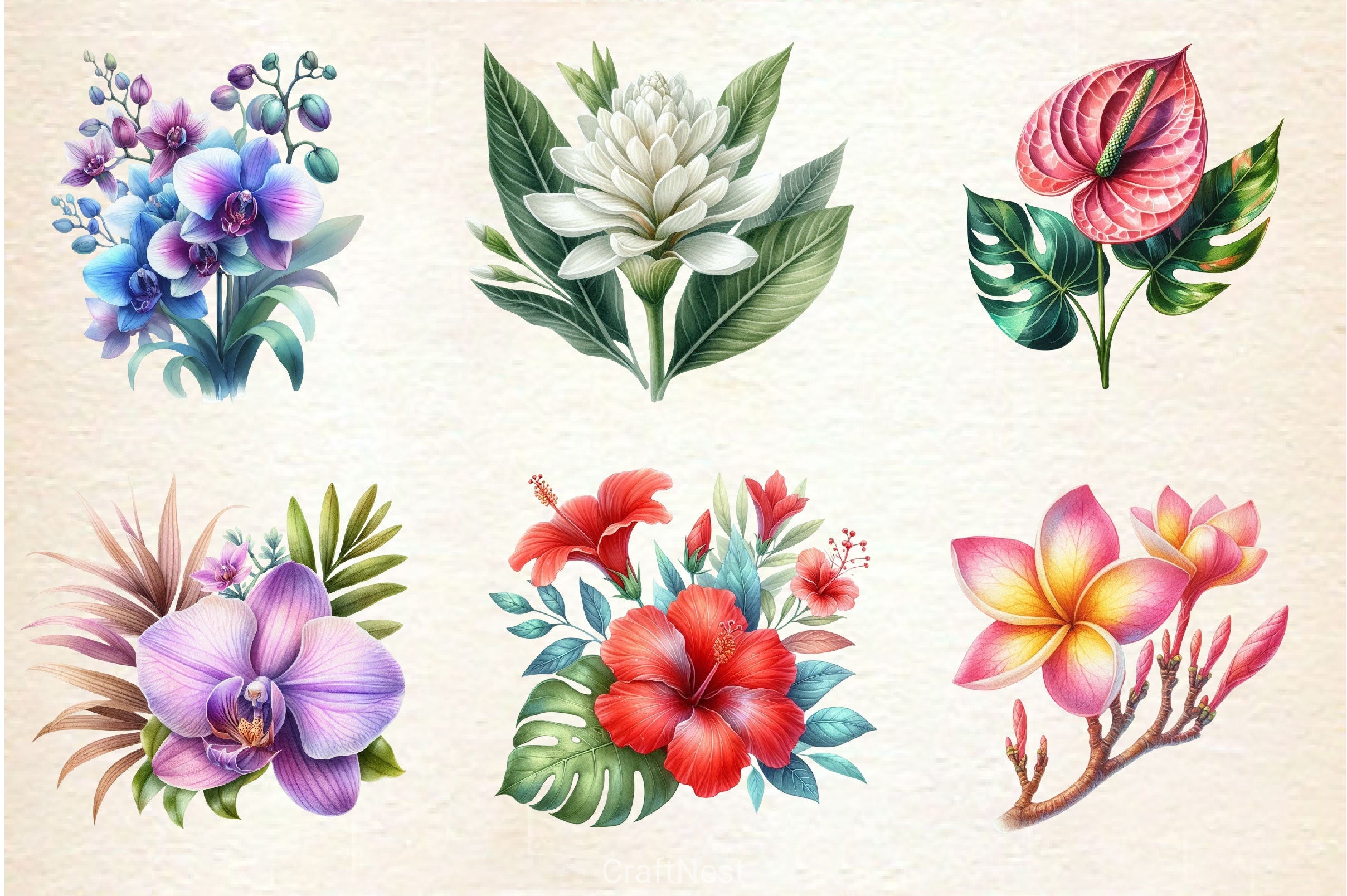 Hawaiian Flowers Clipart Bundle - CraftNest - Digital Crafting and Art