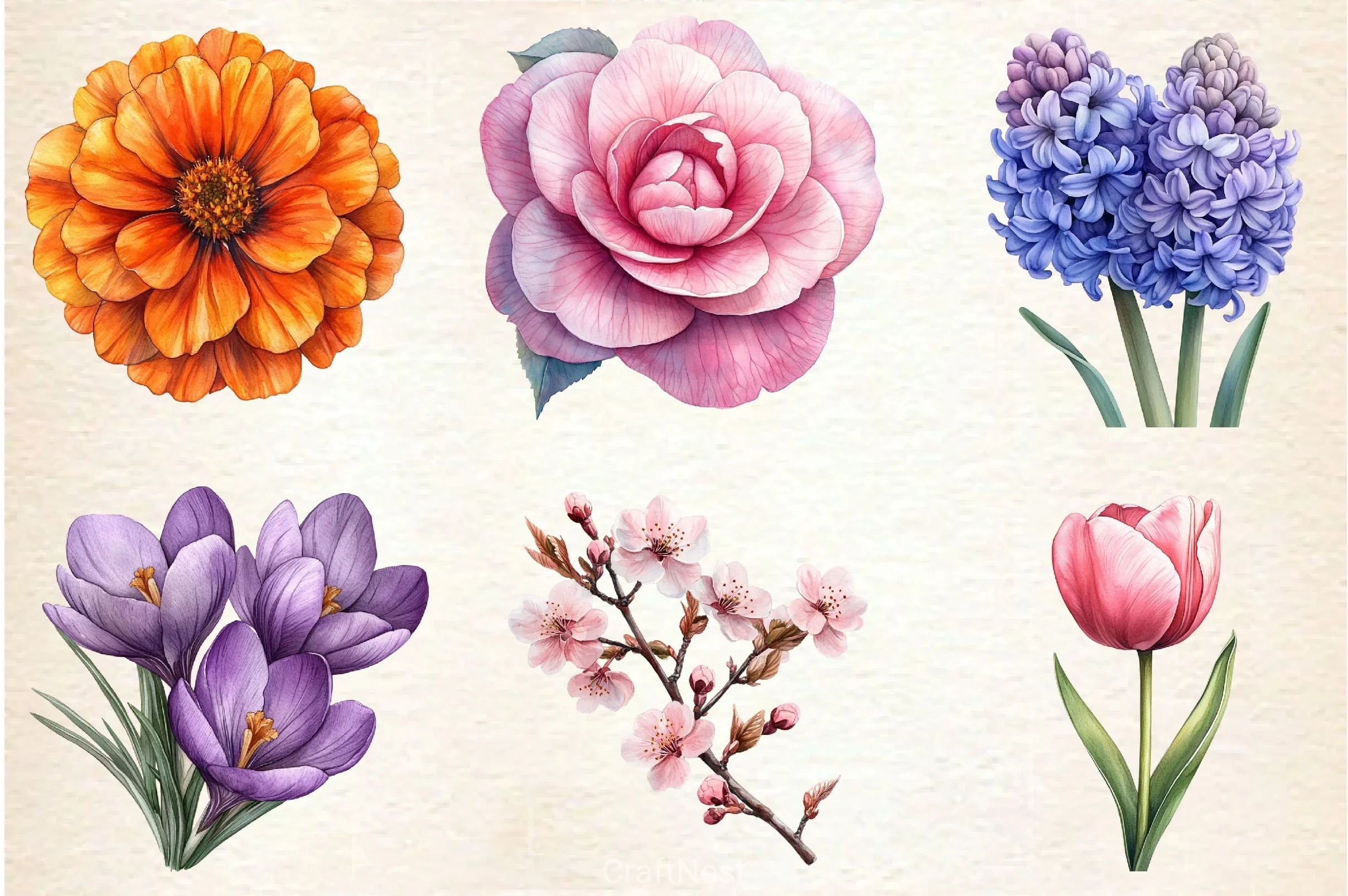 Spring Flowers Clipart Bundle 4 - CraftNest - Digital Crafting and Art
