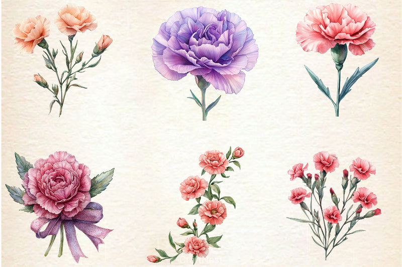 Carnation Flower Clipart Bundle 4 - CraftNest - Digital Crafting and Art