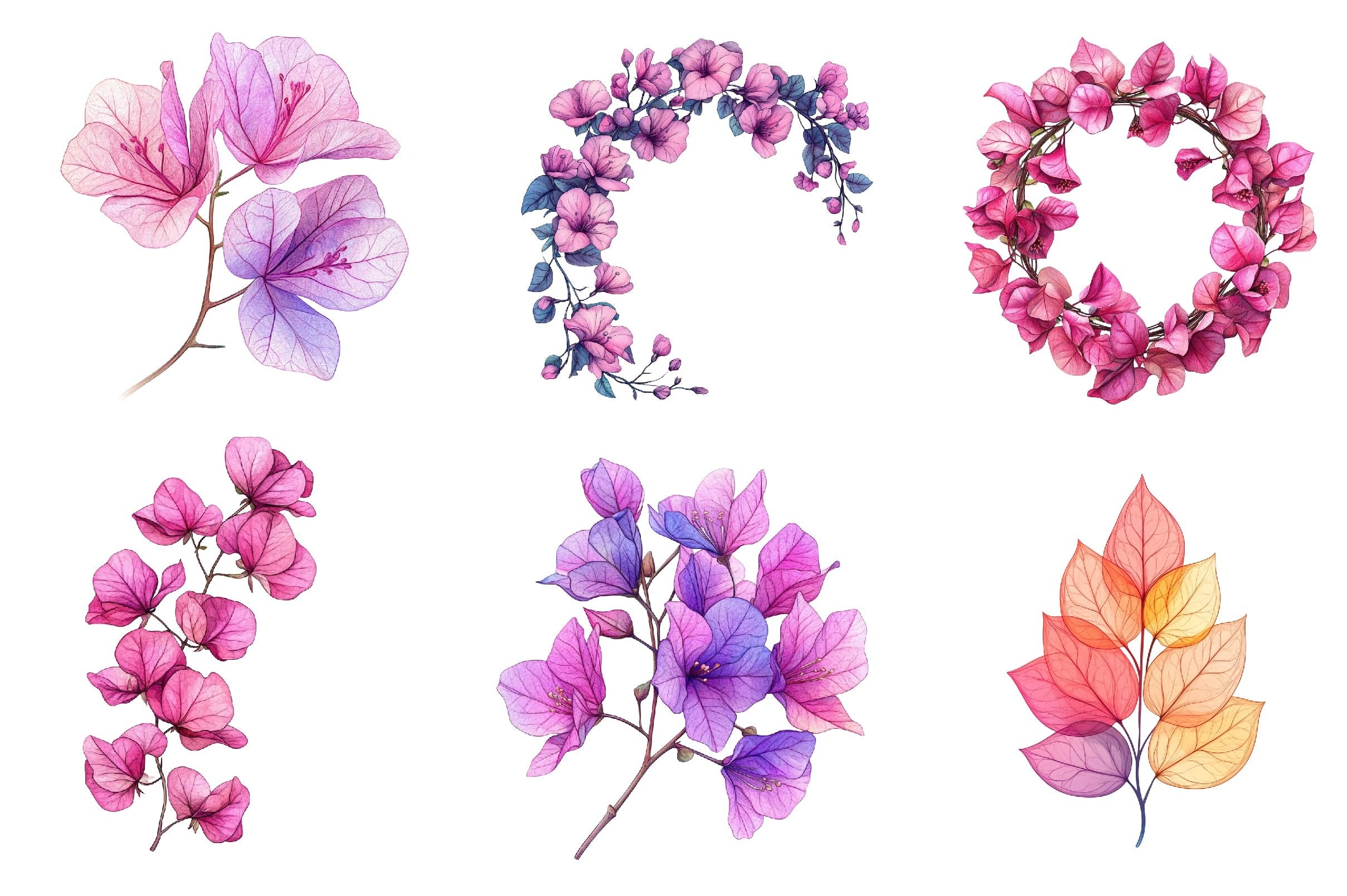 Bougainvillea Flower Clipart Bundle 2 - CraftNest - Digital Crafting and Art