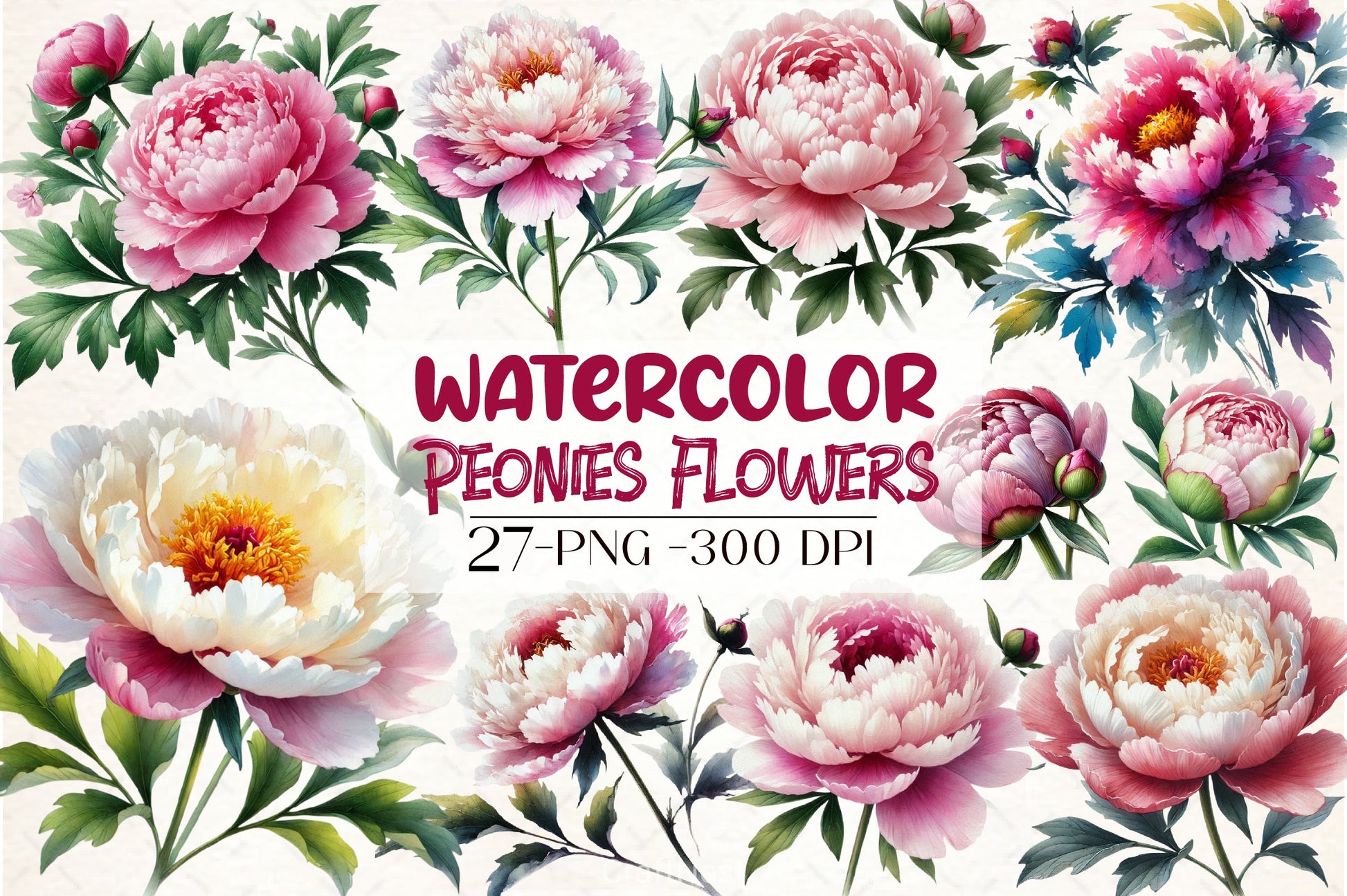 Peonies Clipart Bundle - CraftNest - Digital Crafting and Art