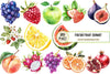 Fresh Fruit Clipart Bundle