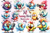 Funny Bird Clipart Bundle 9