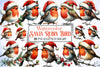 Robin Santa Bird Clipart Bundle