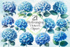 Hydrangea Flowers Clipart Bundle
