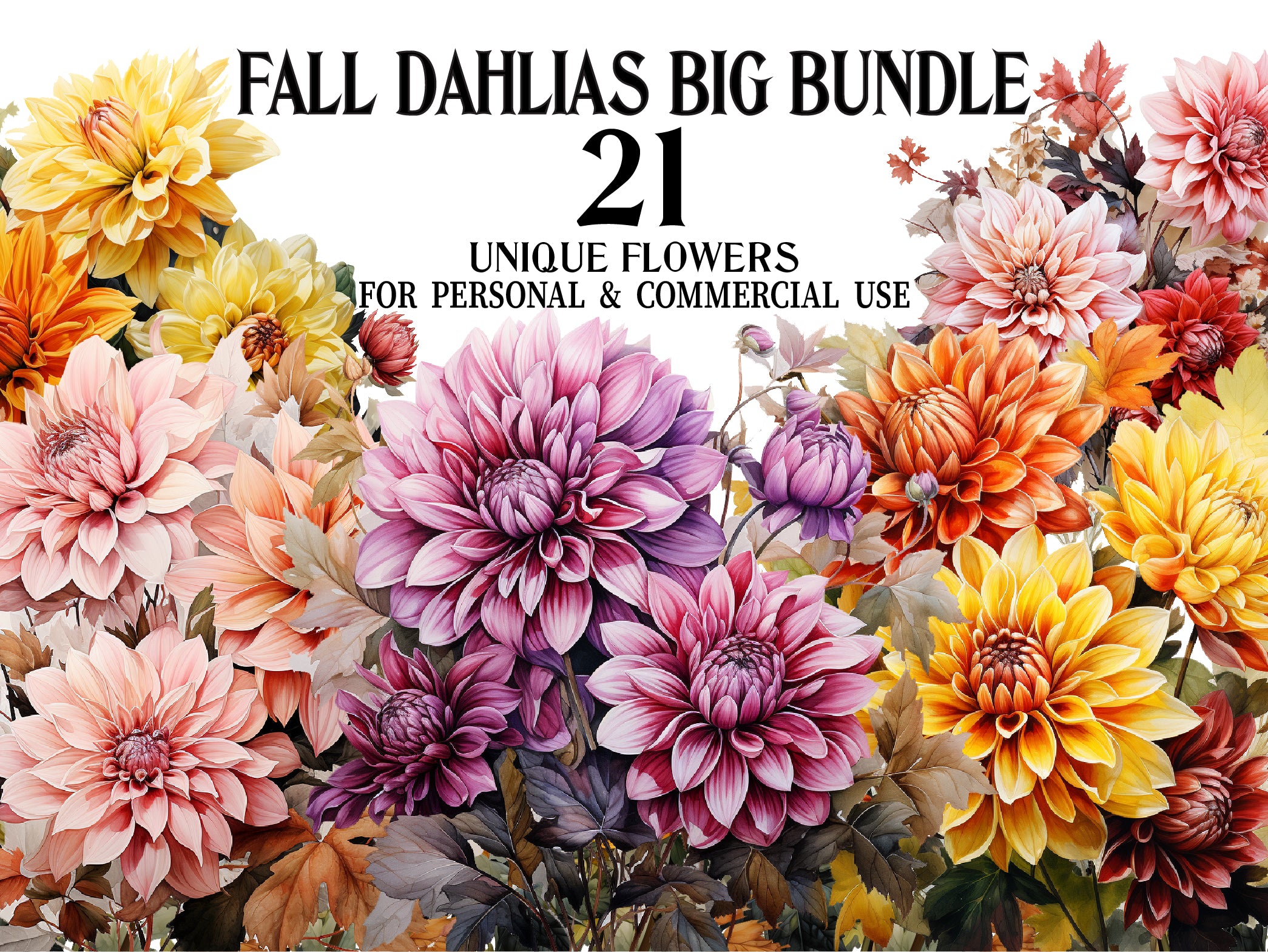 Fall Dahlias Clipart - CraftNest