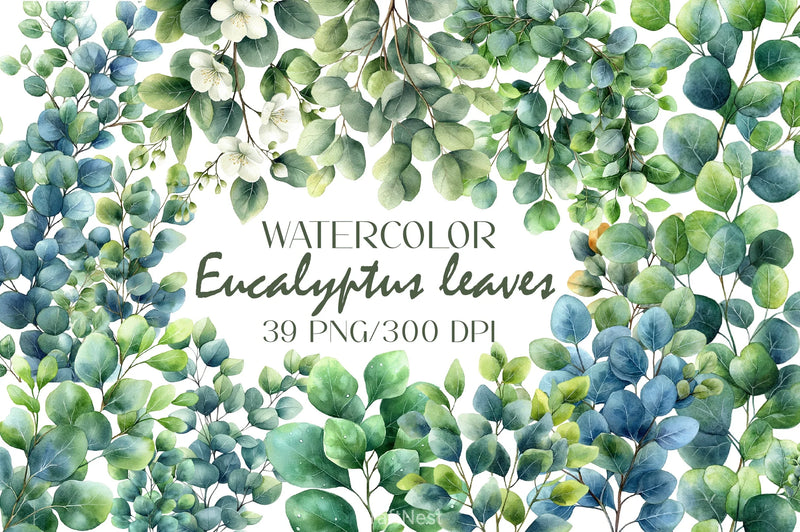 Eucalyptus Leaves Clipart Bundle 5 - CraftNest - Digital Crafting and Art