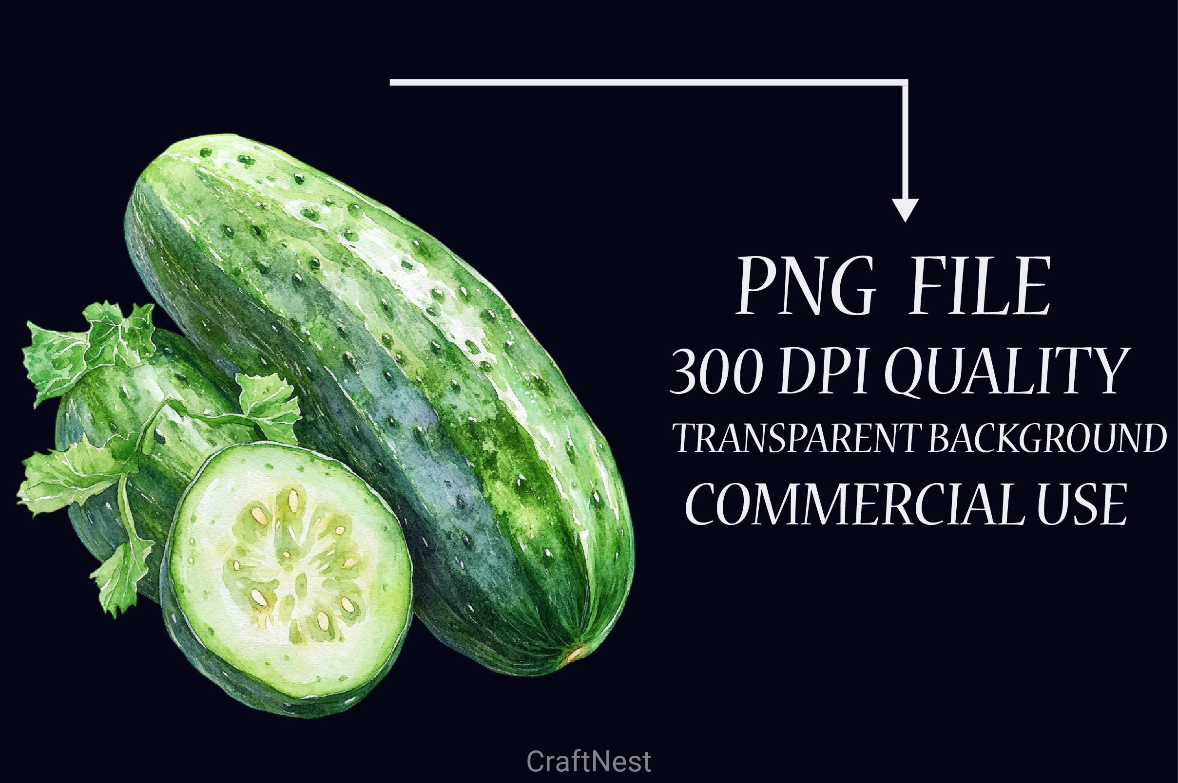 Vegetables Clipart Bundle 6 - CraftNest - Digital Crafting and Art