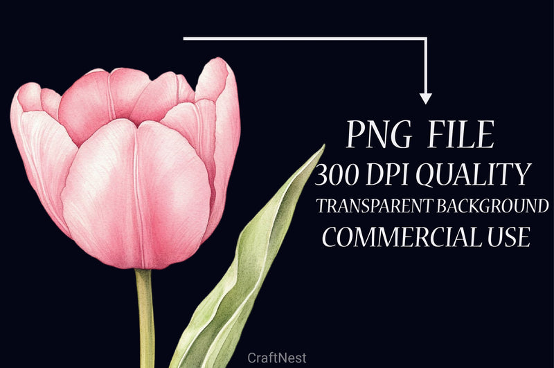 Tulip Flower Clipart Bundle 5 - CraftNest - Digital Crafting and Art