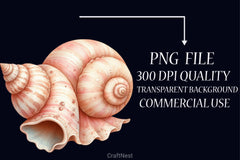 Ocean Sea Shell Clipart Bundle - CraftNest - Digital Crafting and Art