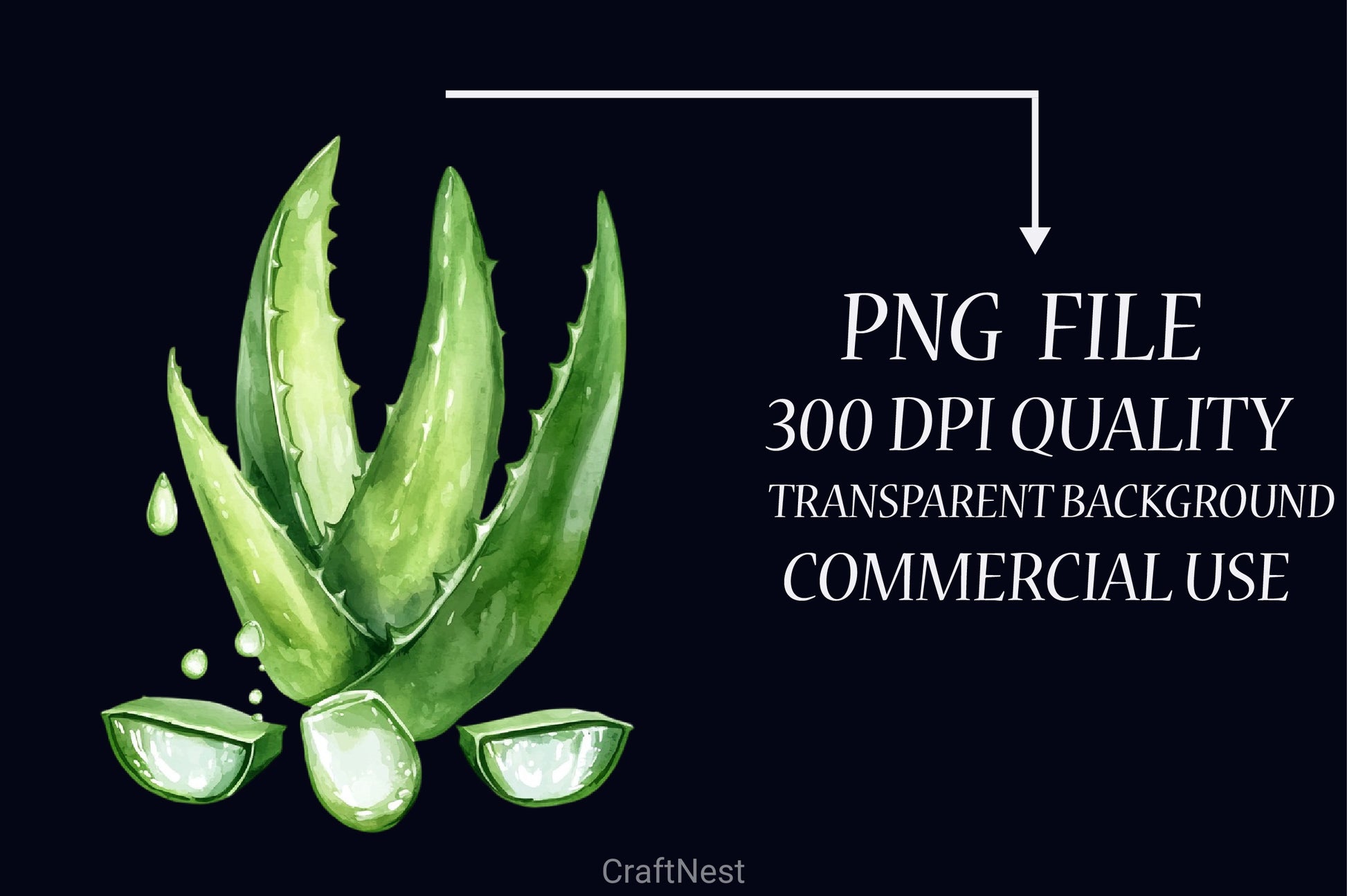 Natural Remedies Clipart Bundle 4 - CraftNest - Digital Crafting and Art