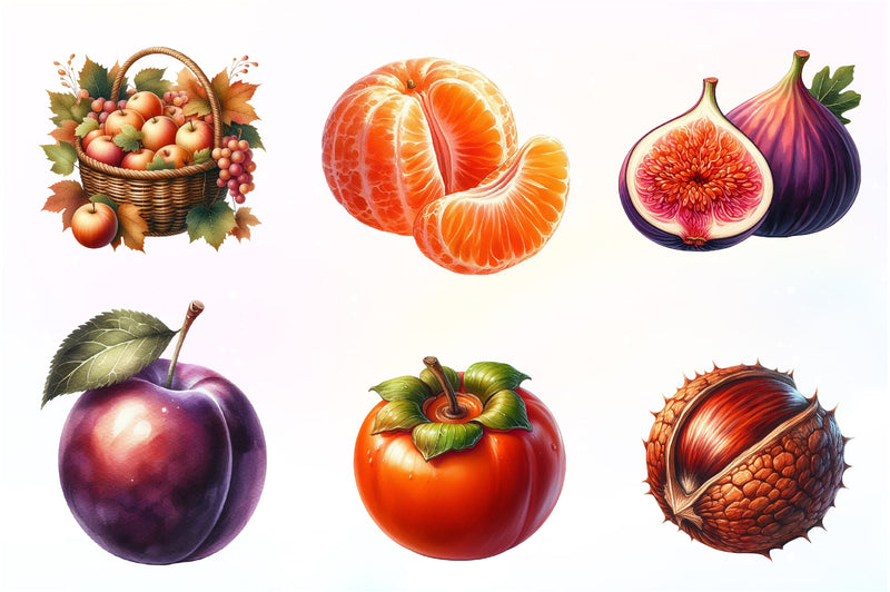 Autumn Fruits Clipart Bundle - CraftNest - Digital Crafting and Art