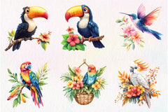 Tropical Bird Jungle Bird Clipart Bundle - CraftNest - Digital Crafting and Art