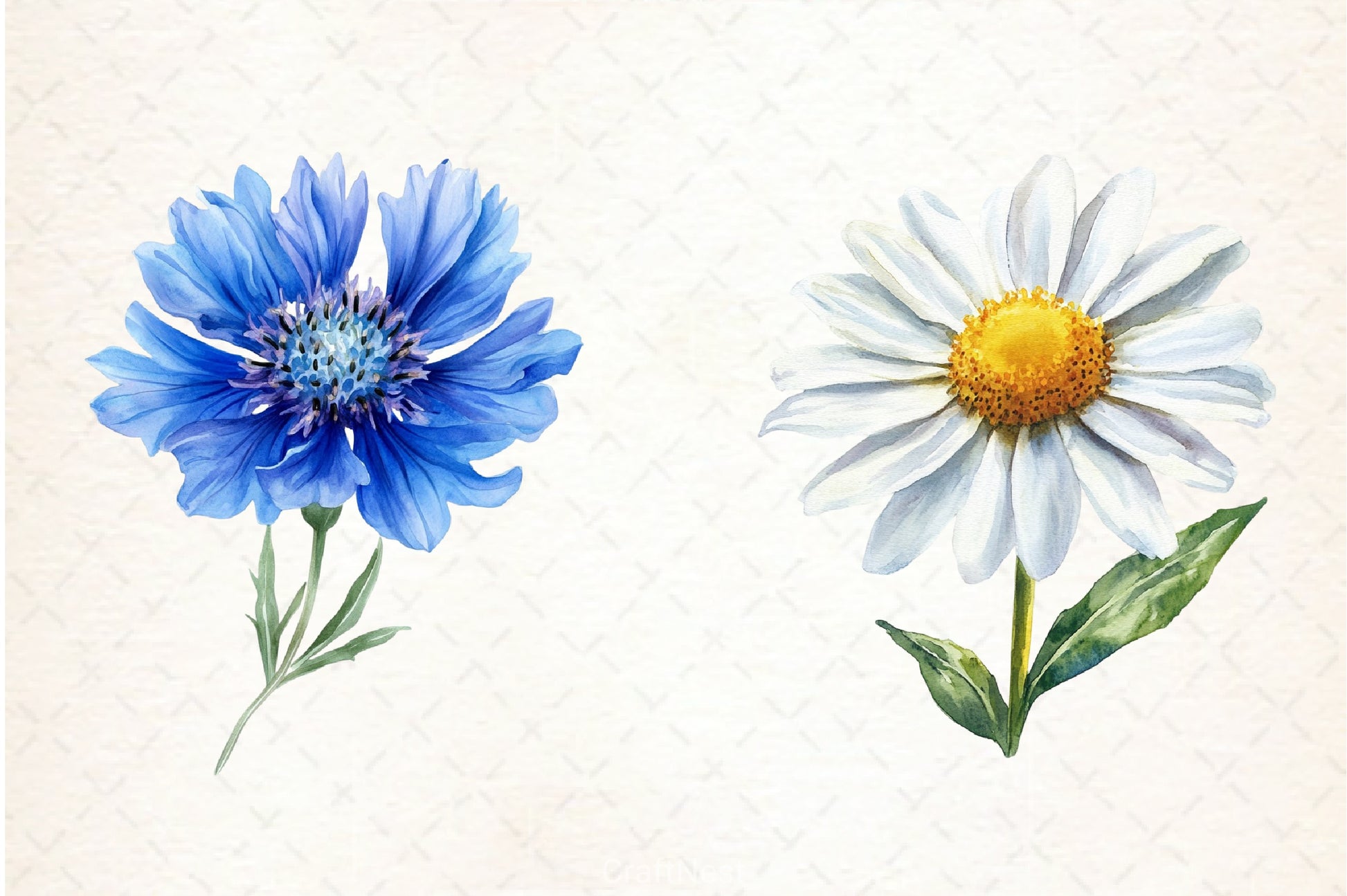 Wild Flower Clipart Bundle - CraftNest - Digital Crafting and Art