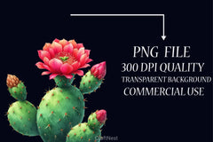 Cactus Clipart Bundle 4 - CraftNest - Digital Crafting and Art