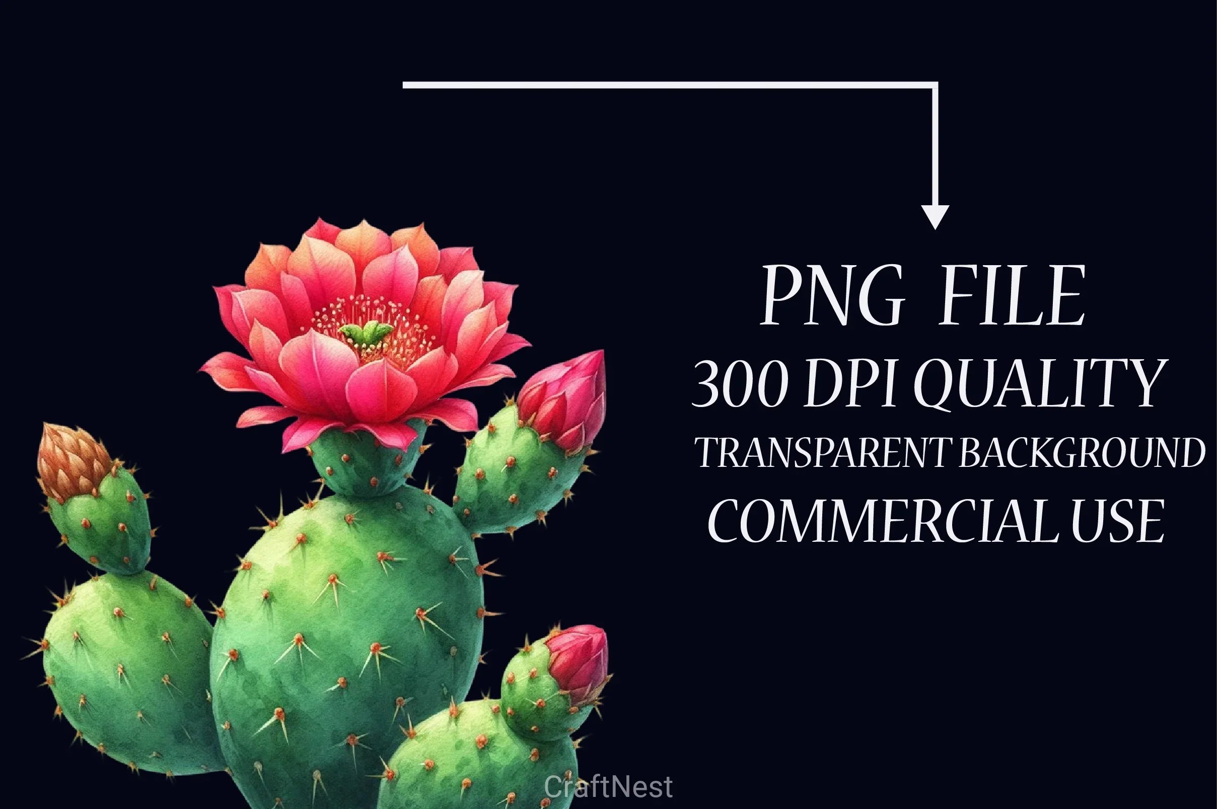 Cactus Clipart Bundle 4 - CraftNest - Digital Crafting and Art