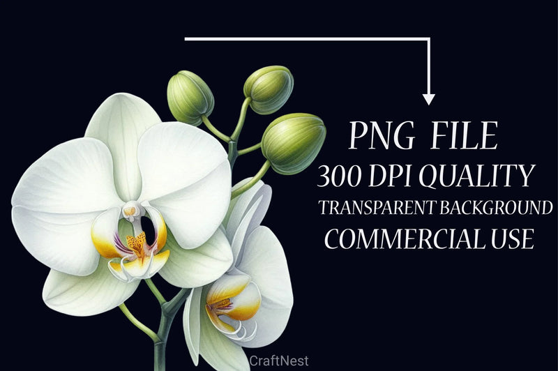 Orchid Clipart Bundle 3 - CraftNest - Digital Crafting and Art