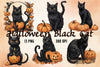 Halloween Black Cat Clipart Bundle 8
