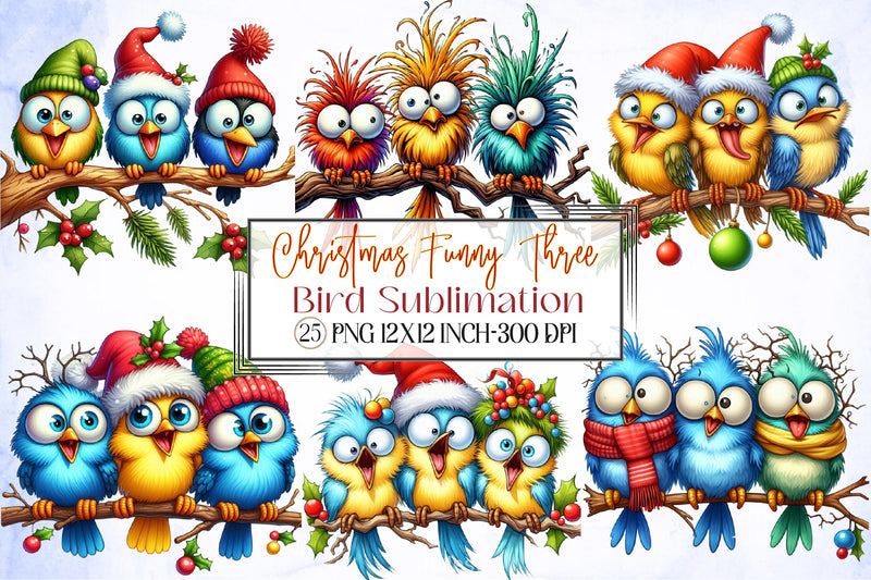 Christmas Funny Bird Clipart Bundle - CraftNest - Digital Crafting and Art