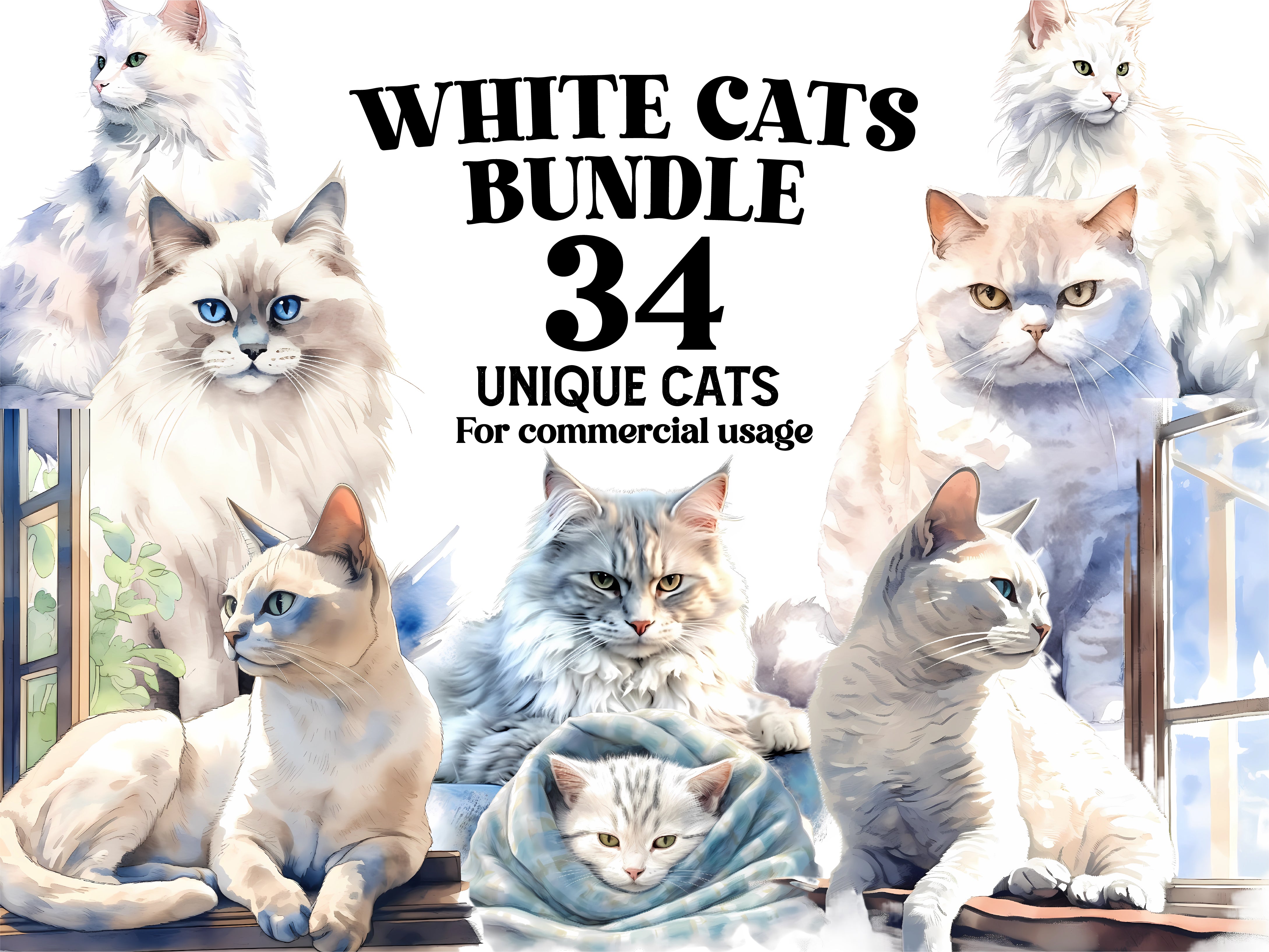 White Cats Clipart - CraftNest