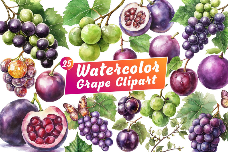 Grape Clipart Bundle - CraftNest - Digital Crafting and Art