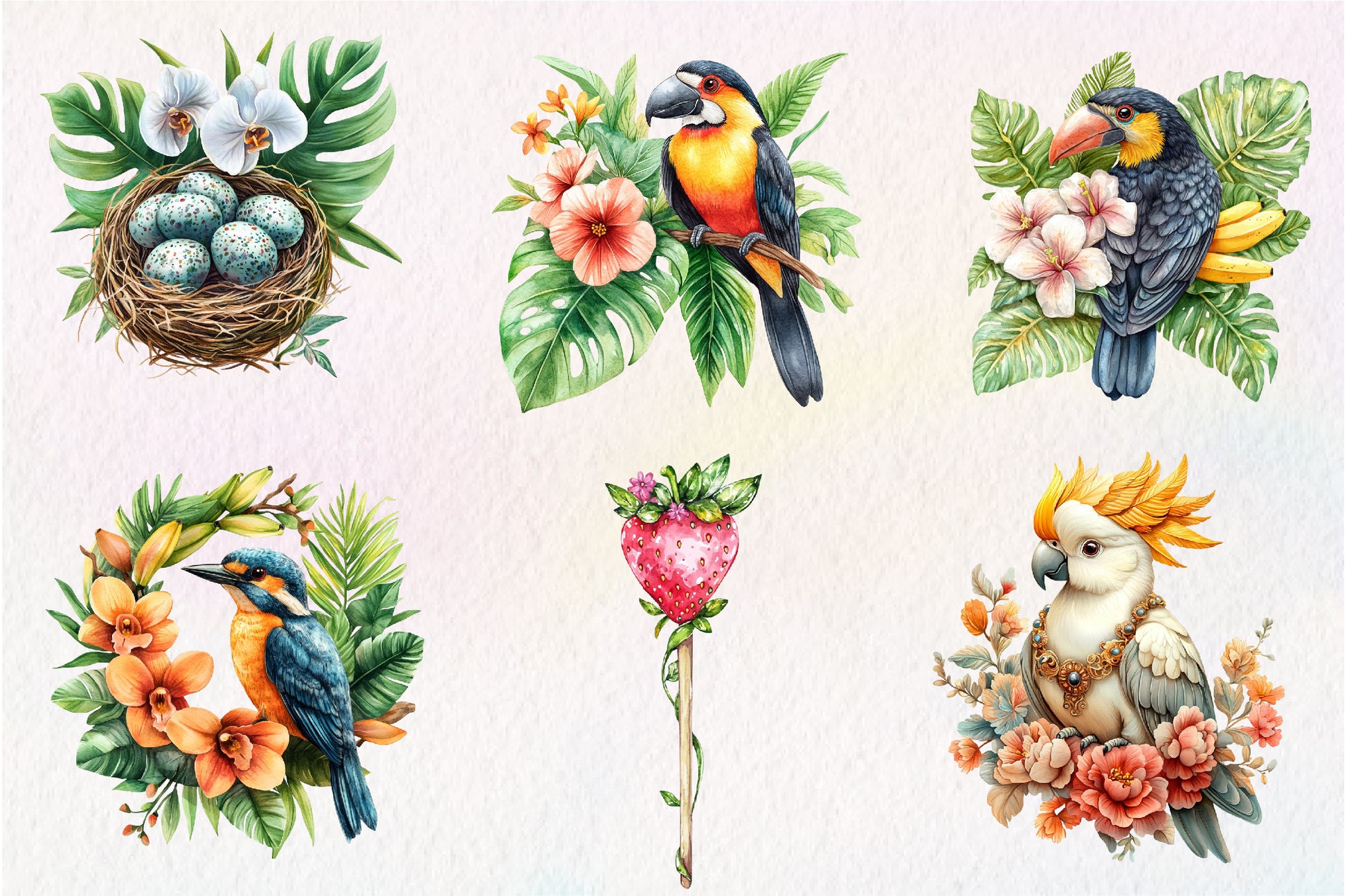 Tropical Bird Jungle Bird Clipart Bundle 1 - CraftNest - Digital Crafting and Art