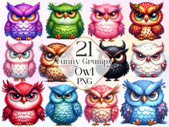Funny Grumpy Owl Clipart Bundle - CraftNest - Digital Crafting and Art