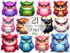 Funny Grumpy Owl Clipart Bundle
