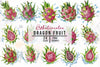 Dragon Fruit Clipart Bundle 1