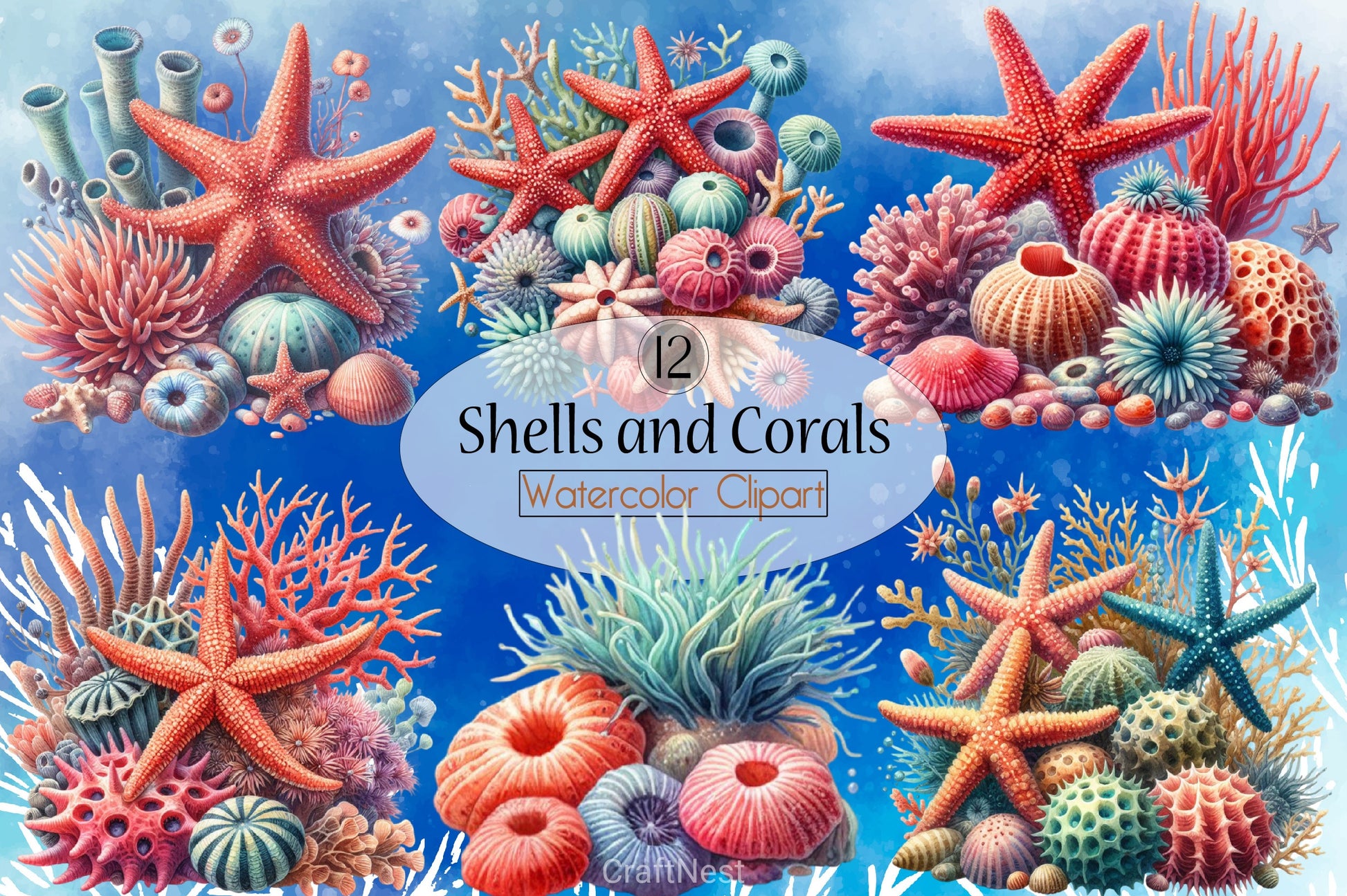 Shells & Corals Clipart Bundle - CraftNest - Digital Crafting and Art