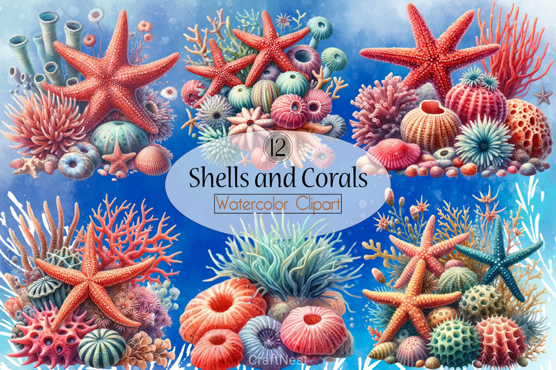 Shells & Corals Clipart Bundle - CraftNest - Digital Crafting and Art