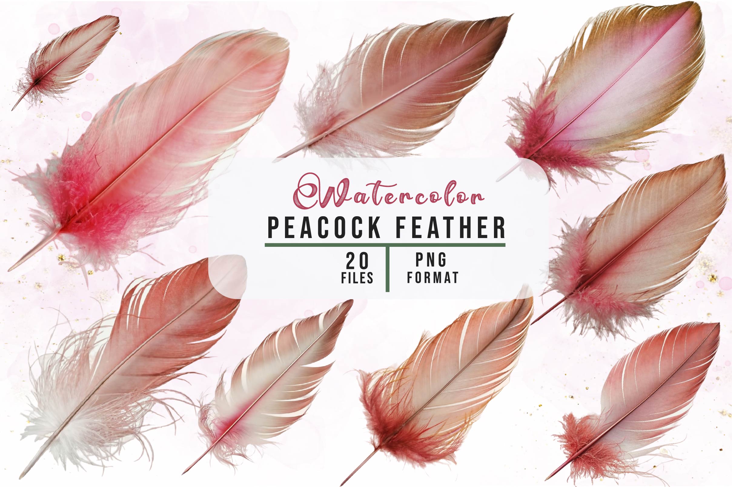Peacock Feather Clipart Bundle - CraftNest - Digital Crafting and Art