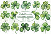 Four Leaf Clover Clipart Bundle
