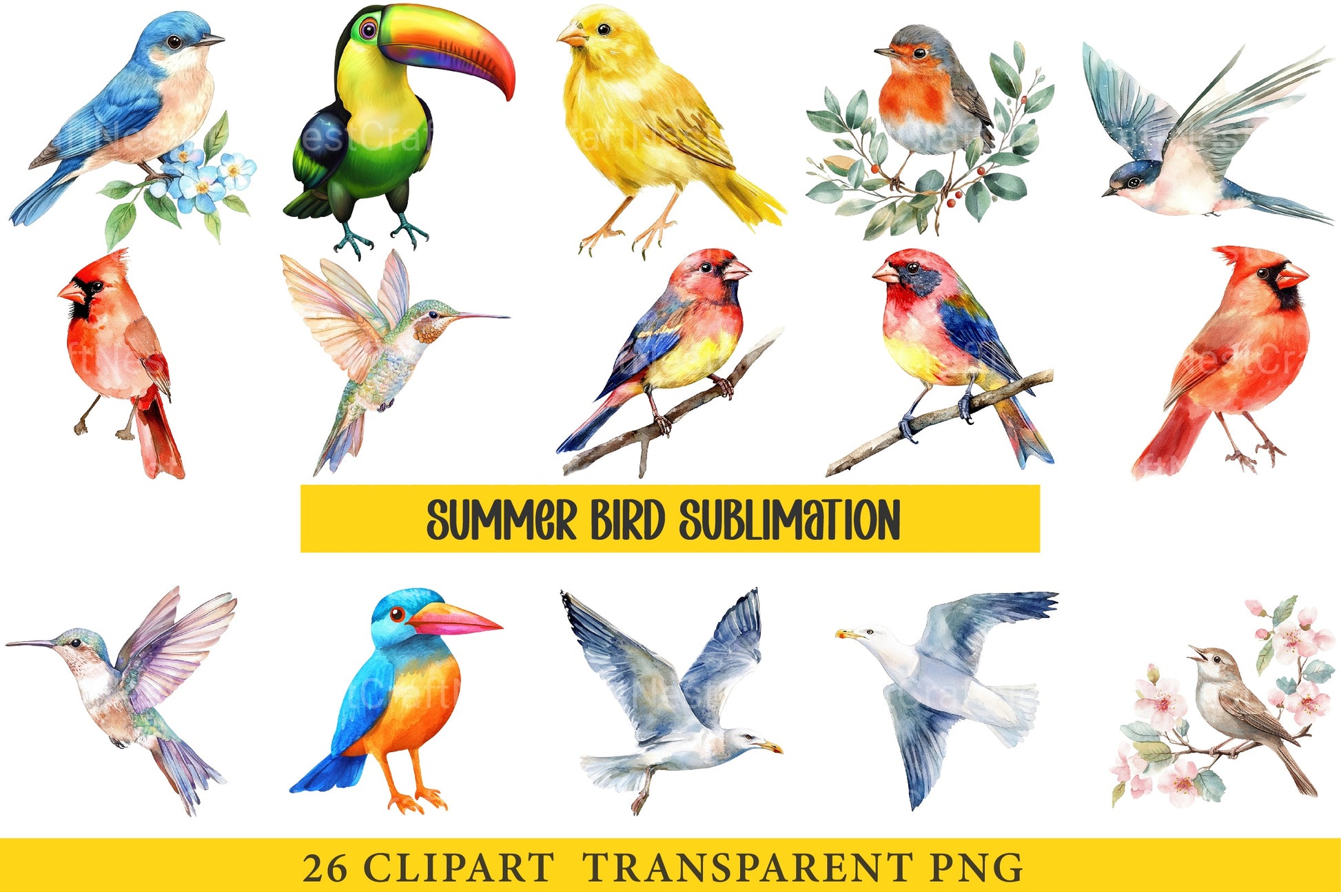 Summer Bird Clipart Bundle - CraftNest - Digital Crafting and Art