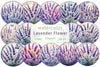 Lavender Flower Stained Glass Clipart Bundle