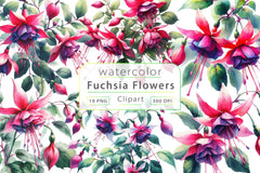 Fuchsia Flowers Clipart Bundle - CraftNest - Digital Crafting and Art