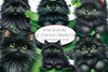 St Patrick's Black Cat Clipart Bundle