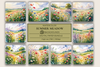 Summer Meadows Background Papers