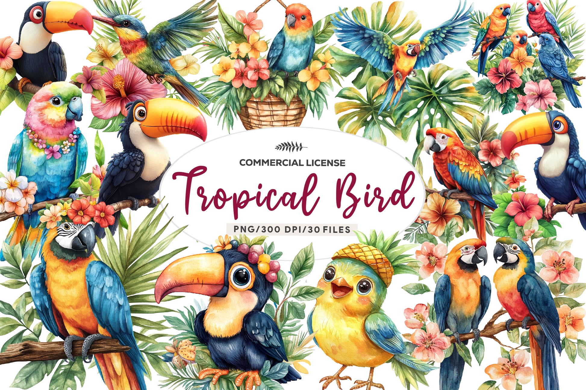Tropical Bird Jungle Bird Clipart Bundle - CraftNest - Digital Crafting and Art