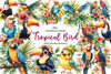 Tropical Bird Jungle Bird Clipart Bundle