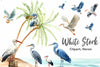 White Stork Heron Clipart Bundle