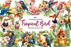 Tropical Bird Jungle Bird Clipart Bundle 1 - CraftNest - Digital Crafting and Art