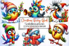 Christmas Bird Clipart Bundle 1 - CraftNest - Digital Crafting and Art