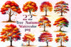 Fall Tree Autumn Tree Clipart Bundle