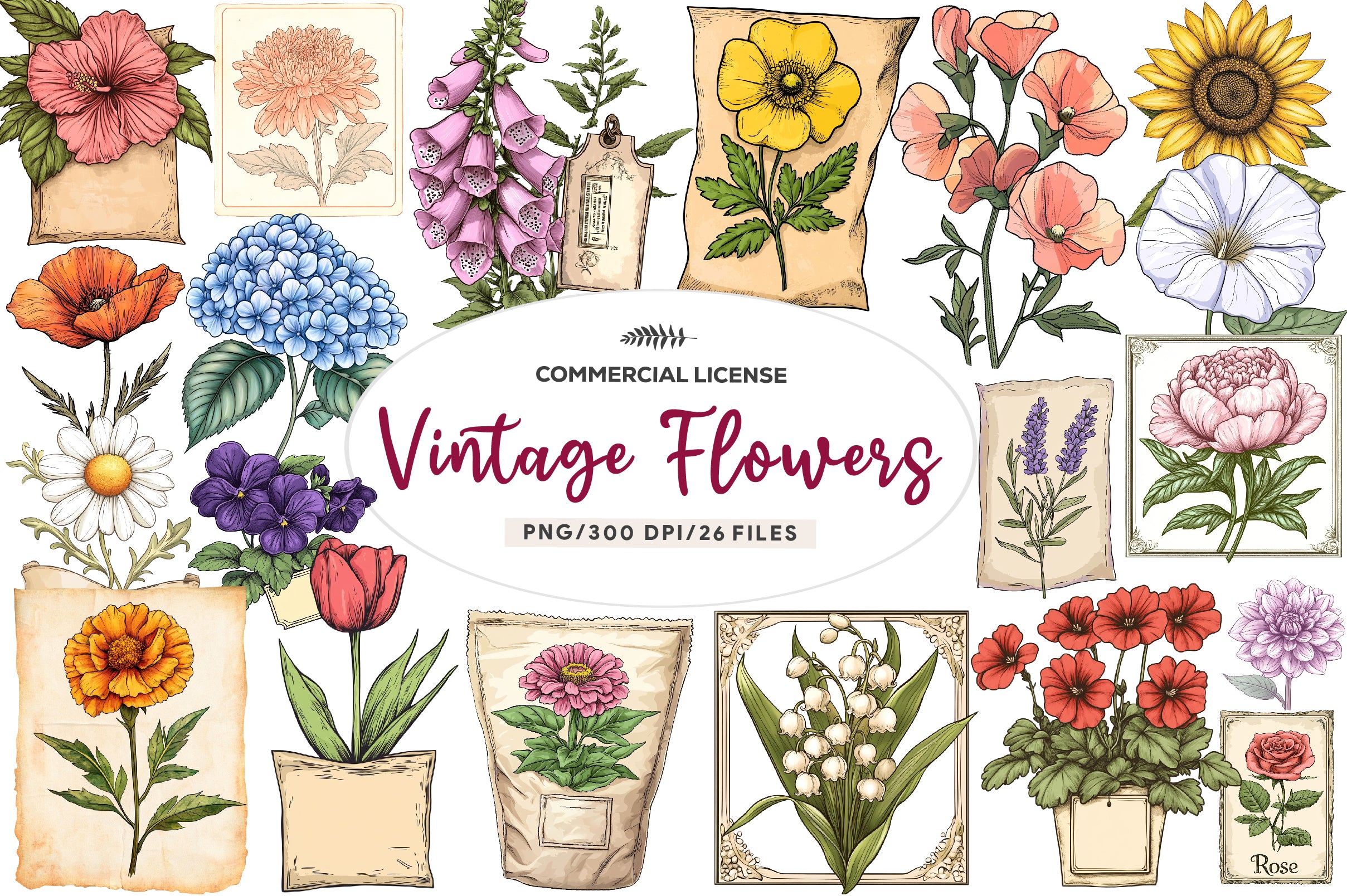 Vintage Flowers Seed Packet Clipart Bundle - CraftNest - Digital Crafting and Art