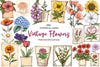 Vintage Flowers Seed Packet Clipart Bundle