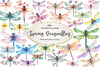 Spring Dragonflies Border Clipart Bundle