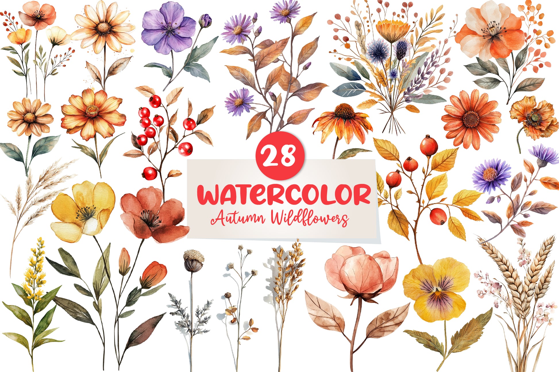 Autumn Wildflowers Clipart Bundle - CraftNest - Digital Crafting and Art