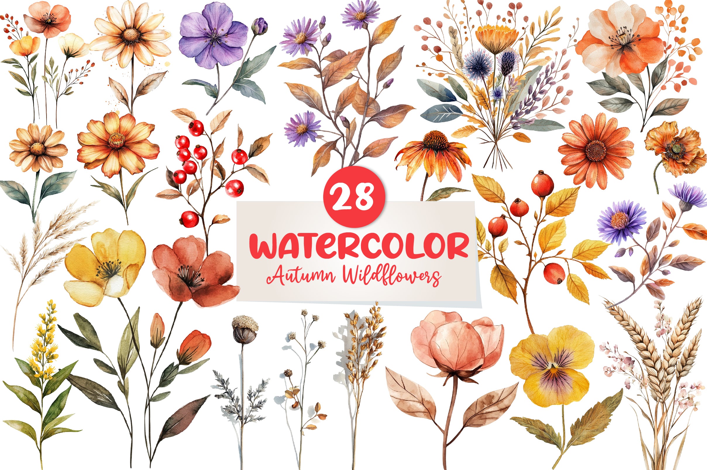 Autumn Wildflowers Clipart Bundle - CraftNest - Digital Crafting and Art