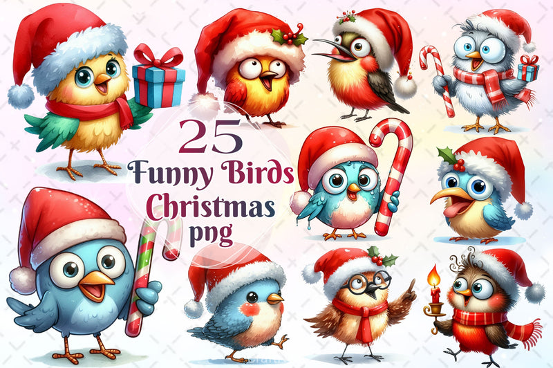 Christmas Birds Funny Birds Clipart Bundle - CraftNest - Digital Crafting and Art